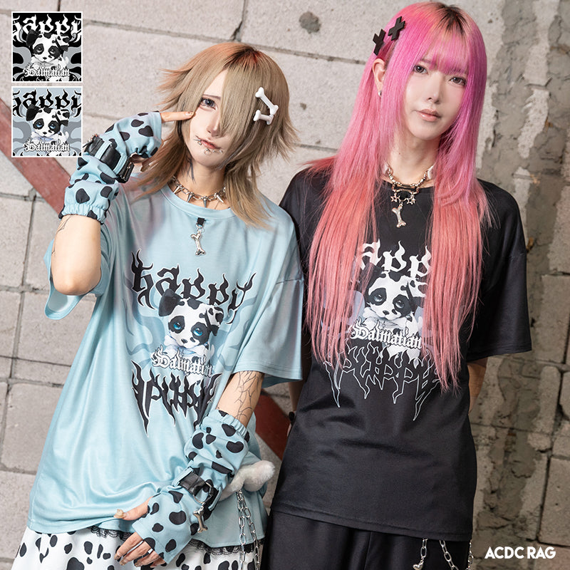 新商品 – ACDC RAG